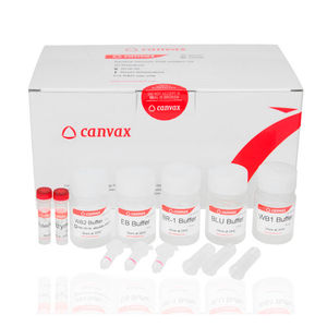 kit de réactifs enzyme