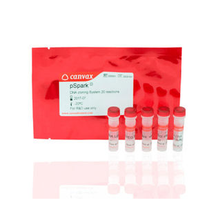 kit de réactifs ADN ligase