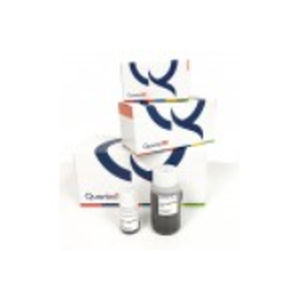 kit de réactifs à billes magnétiques