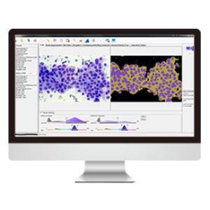 logiciel d'imagerie cellulaire