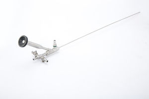 néphroscope