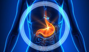 kit d'analyse Helicobacter pylori