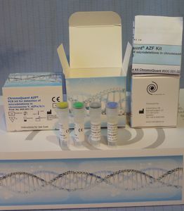 kit de test pour PCR