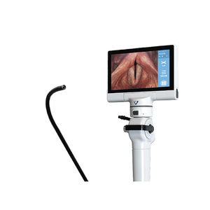 endoscope vidéo d'intubation