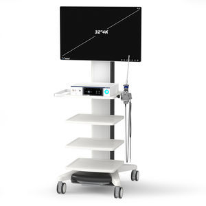 système d'imagerie endoscopique