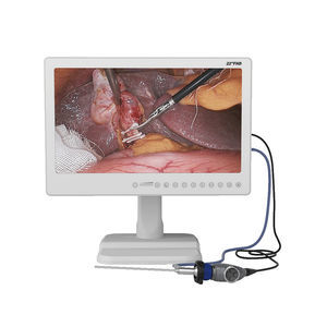 gastroscope vétérinaire vidéo
