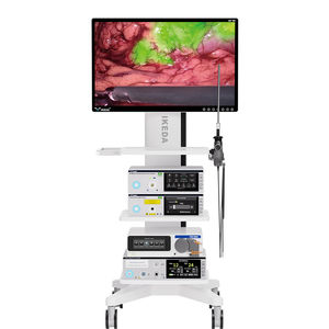 caméra endoscopique