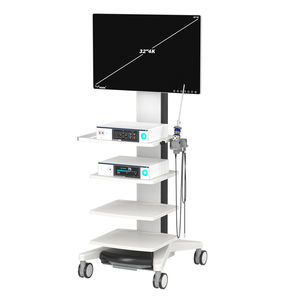 système d'imagerie endoscopique
