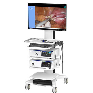 colonne d'endoscopie imagerie 3D