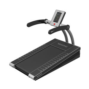 tapis roulant avec main courante