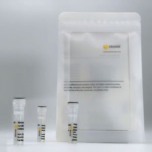 kit ELISA