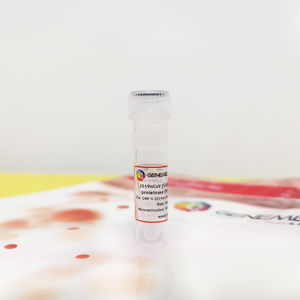 réactif antigène recombinant