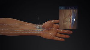 logiciel d'anatomie