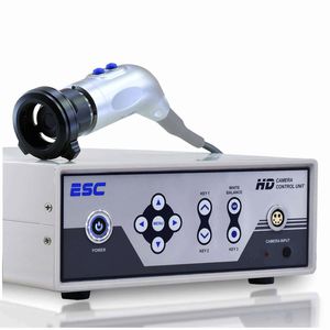 caméra pour endoscopes