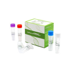 kit de test SARS-COV-2