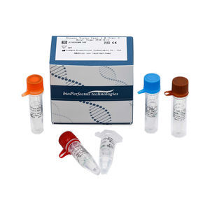 kit de test de la dengue