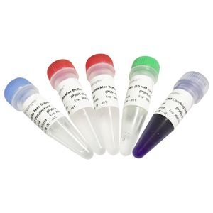 réactif enzyme