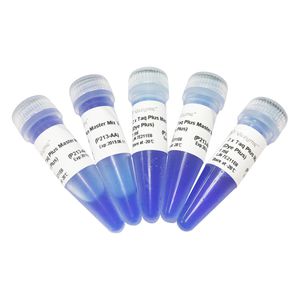 réactif Taq polymérase