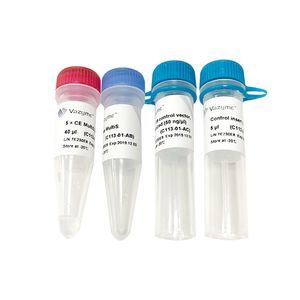 réactif enzyme