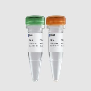 kit de réactifs en solution
