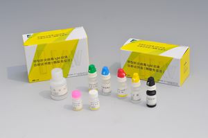 test de diagnostic rapide de l'hépatite A