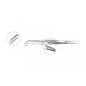 précelle dentaire endodontique