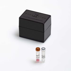 kit de réactifs enzyme