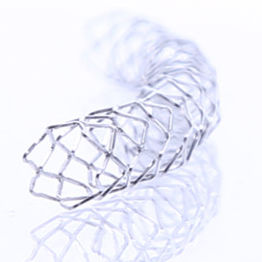 stent coronarien