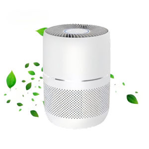 purificateur d'air portable