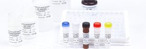 kit de test de la dengue