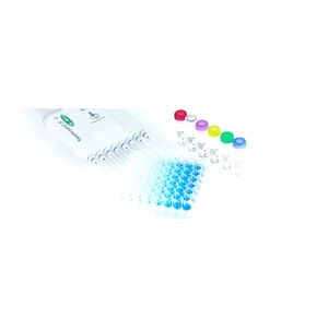 kit de test de la dengue
