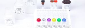 kit de réactifs enzyme