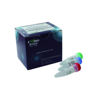 kit de réactifs enzyme