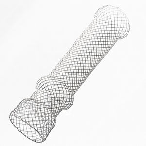 stent oesophagien