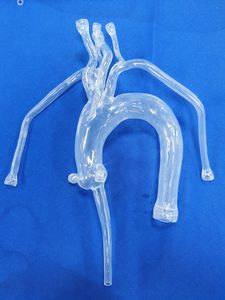 modèle anatomique cardiaque