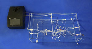 modèle anatomique abdominal