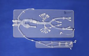 modèle anatomique abdominal