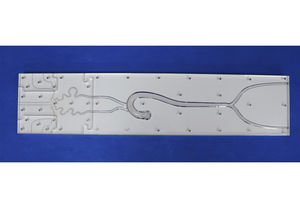 modèle anatomique intracrânien