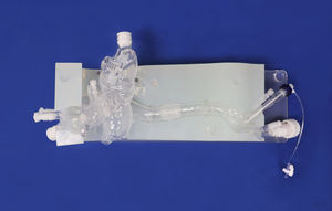 modèle vasculaire cardiaque