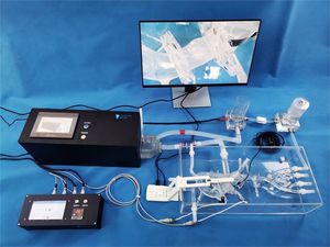 simulateur pour chirurgie vasculaire