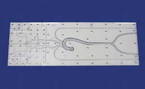 modèle anatomique intracrânien