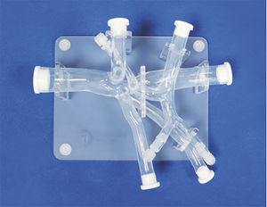 modèle vasculaire abdominal