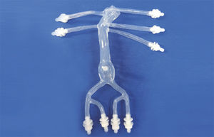 modèle vasculaire abdominal