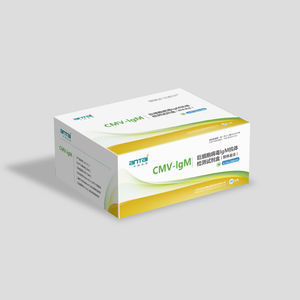 kit de test de grossesse