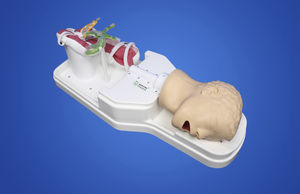 modèle d'anatomie pylore