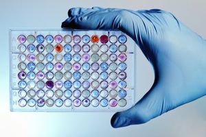 microplaque pour PCR