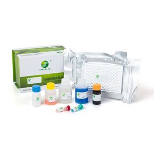 kit de test pour maladies infectieuses