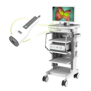 colonne d'endoscopie imagerie par fluorescence