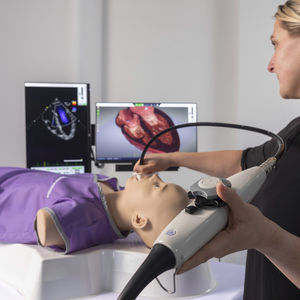 simulateur patient pour échographie