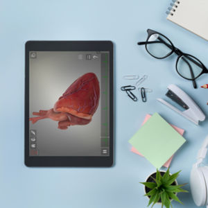 simulateur pour chirurgie cardiaque